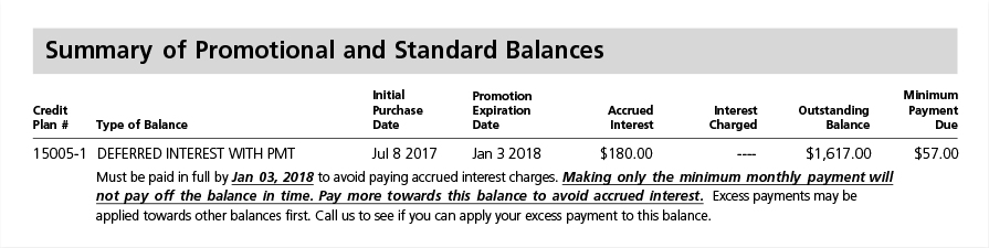 Summary of Promotional and Standard Balances Summary of Promotional and Standard Balances