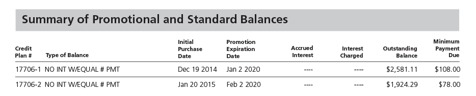 Summary of Promotional and Standard Balances Summary of Promotional and Standard Balances