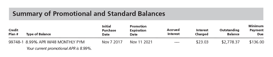 Summary of Promotional and Standard Balances