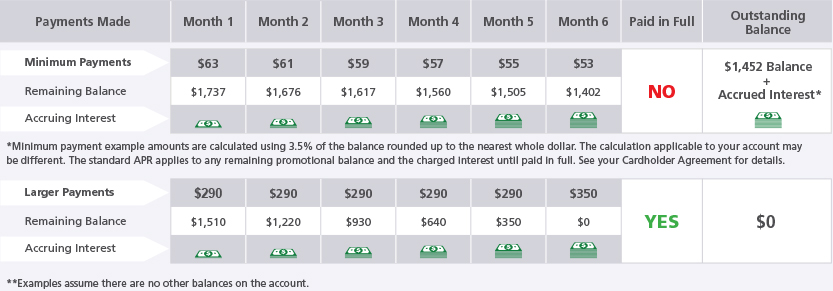 Cardholder Repayment Examples