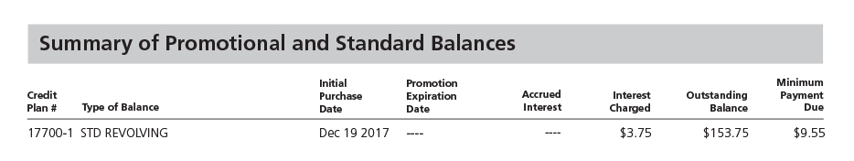 Summary of Promotional and Standard Balances Summary of Promotional and Standard Balances